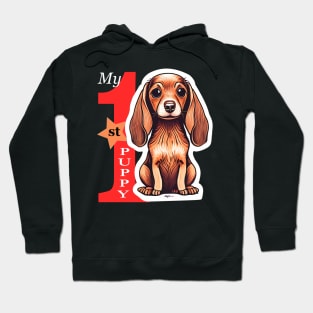 My first puppy Hoodie